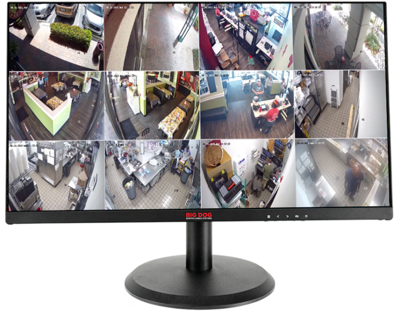 MONITOR21W