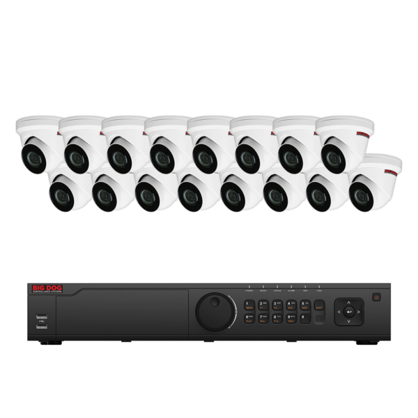 Big Dog IP Surveillance System (16 IP Cameras)