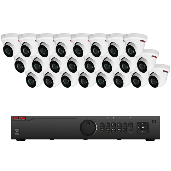 Big Dog IP Surveillance System (24 IP Cameras)