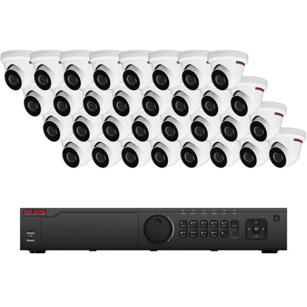 Big Dog IP Surveillance System (32 IP Cameras)