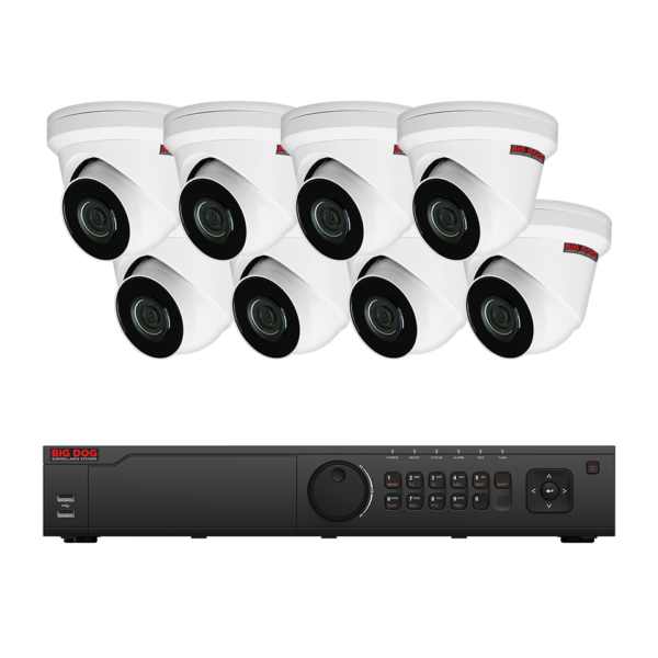 Big Dog IP Surveillance System (8 IP Cameras)