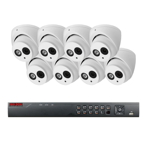 Big Dog HD Surveillance System (8 HD Cameras)