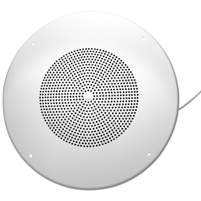 Kitchen_Grill_Speaker