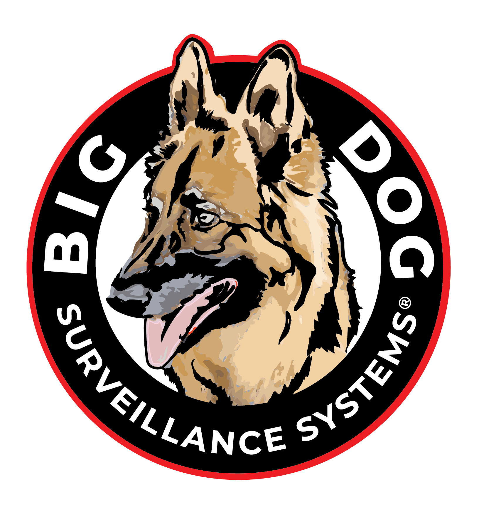 Big Dog Surveillance Solutions